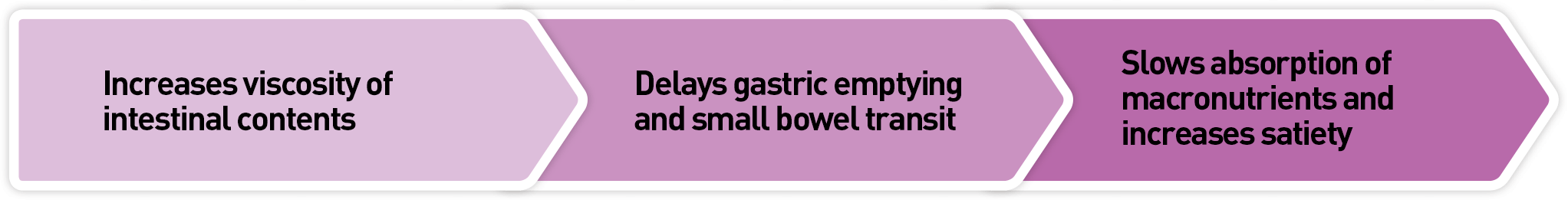 Retarde la vidange gastrique et le transit du contenu dans l'intestin grêle > Ralentit l'absorption des macronutriments et augmente la satiété